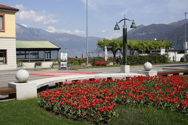 Aiuola davanti al comune via Piero Chiara